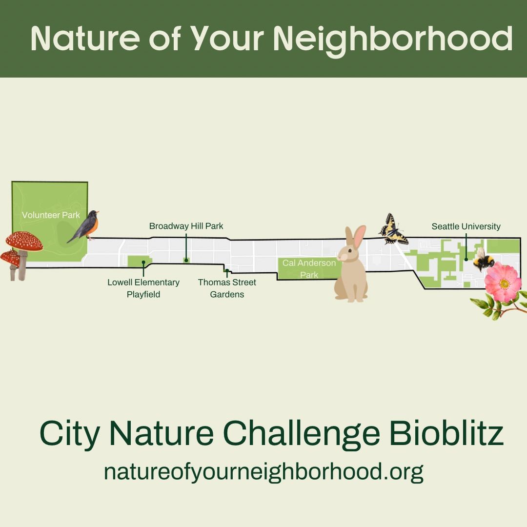 Nature of Your Neighborhood BioBlitz