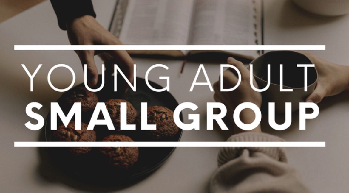 Young Adult Small Group