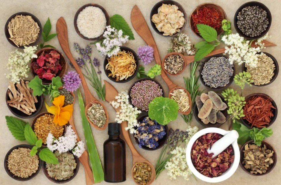 Herbs for Stress, Balance, and Immune Health with Rebecca Vann