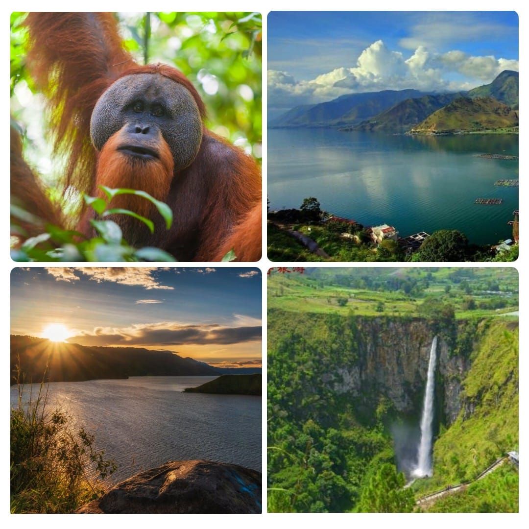 \u27085D4N Medan->Lake Toba->Sunrise Beginner Hike->Orang Utan Sanctuary