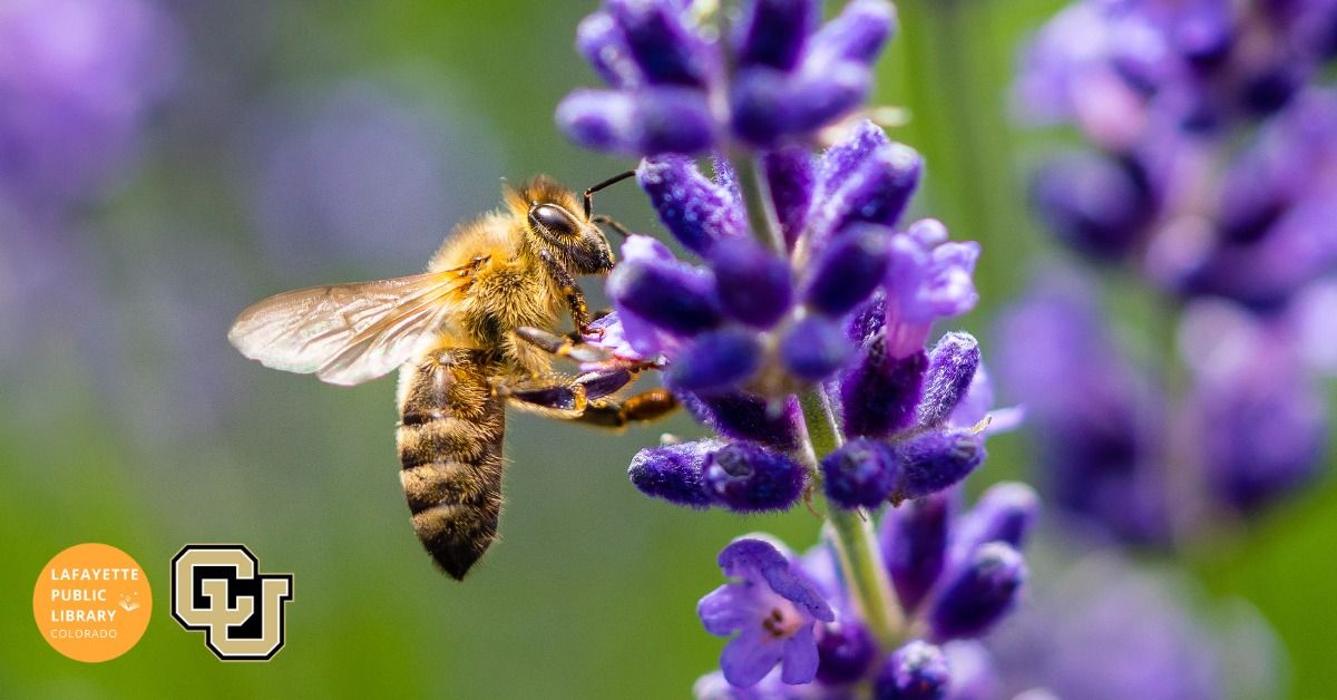 Tune into Nature: Native Bees and Pollinator Districts