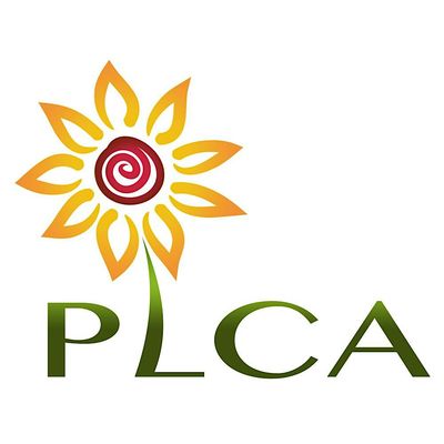 PLCA Foundation Charity Number 1170478