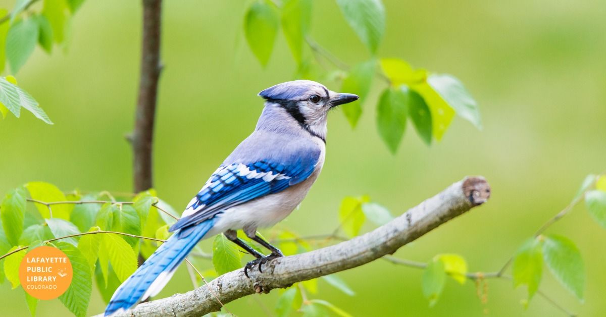 \t Rescheduled! Lafayette Learns: History from a Bird's-eye View