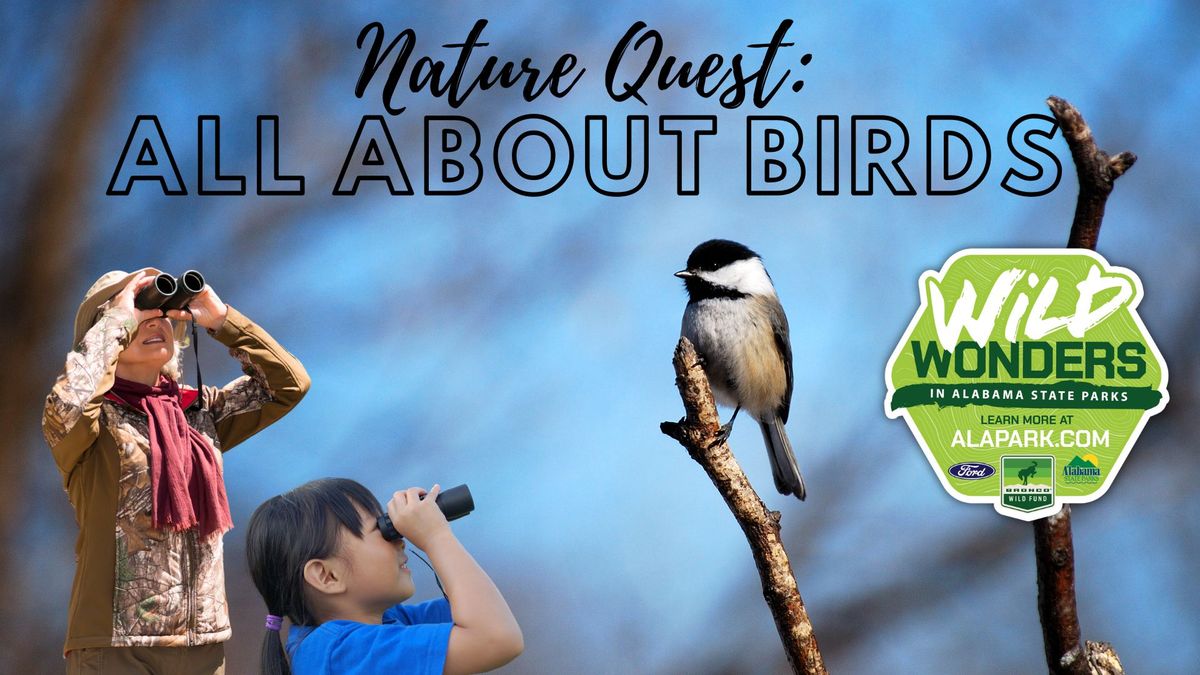 Nature Quest: All About Birds