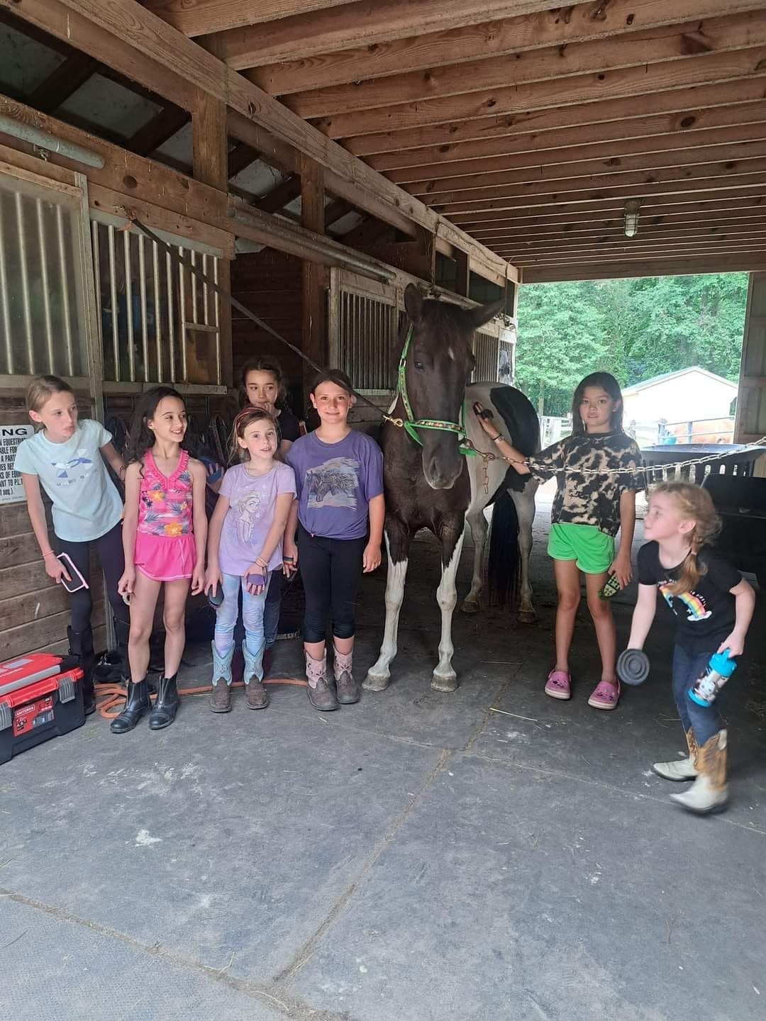 Summer horse camp