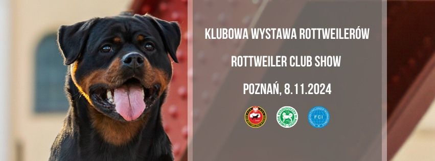 Klubowa Wystawa Rottweiler\u00f3w \/ Rottweiler Club Show Pozna\u0144 8.11.2024