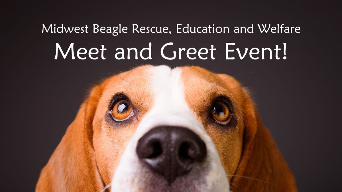 Beagle Meet and Greet in Downers Grove, IL