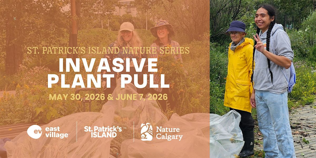 St. Patrick's Island Nature Series: INVASIVE PLANT PULL