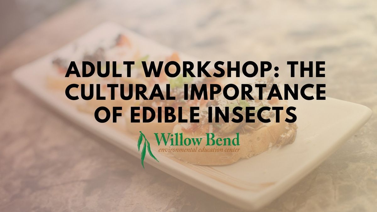 Adult Workshop: The Cultural Importance of Edible Insects