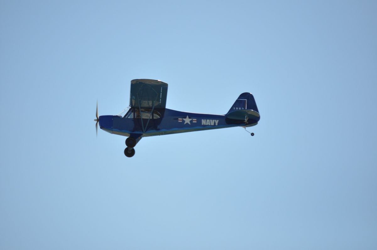 Cub (and other High Wing Planes) Day