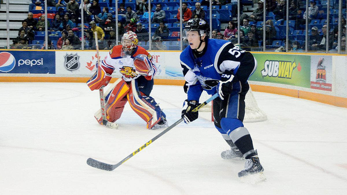Sherbrooke Phoenix at Saint John Sea Dogs