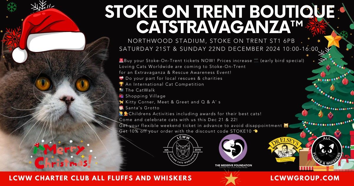 LCWW ALL FLUFFS AND WHISKERS STOKE BOUTIQUE CATSTRAVAGANZA 