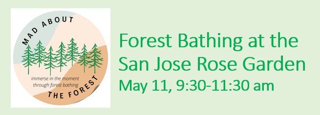 Silicon Valley Rainbow Rotary Social - Forest Bathing at the San Jose Municipal Rose Garden