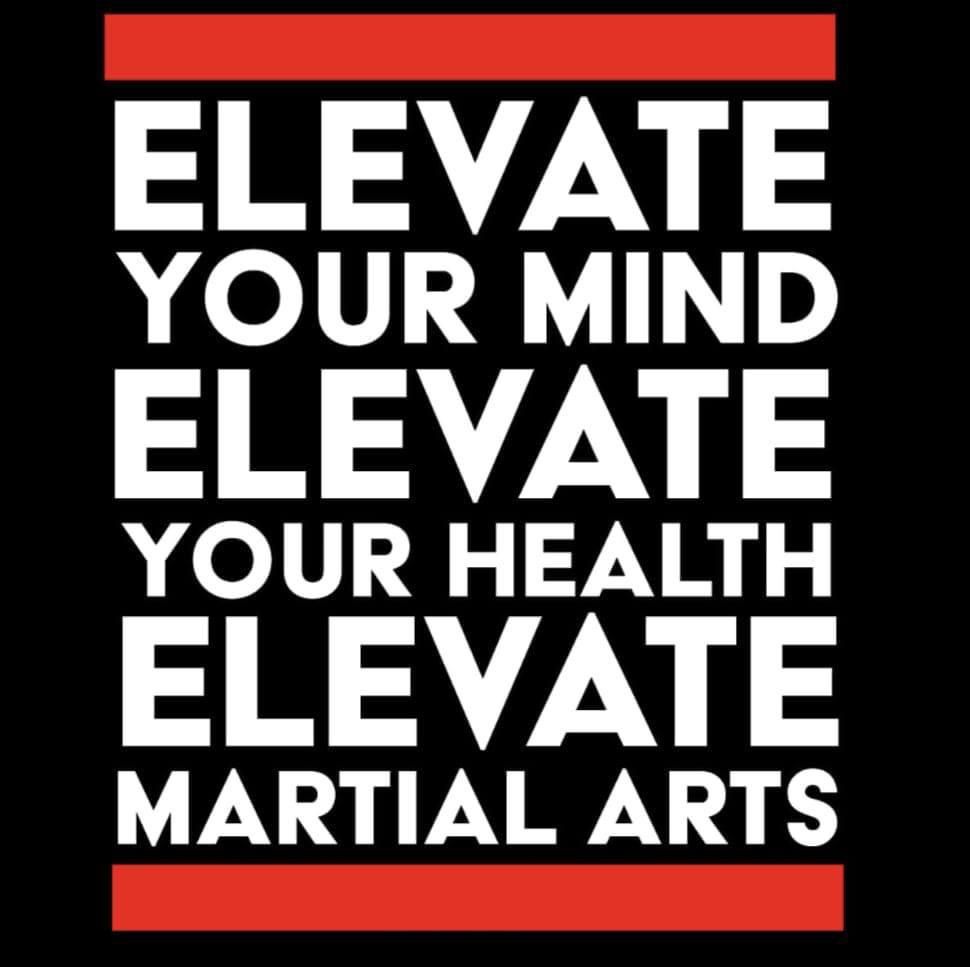 for elavate martial arts cente