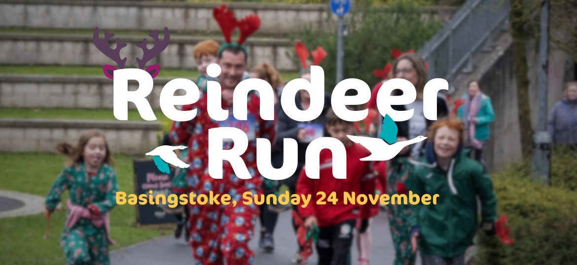 Reindeer Run Basingstoke