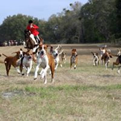 Misty Morning Hounds at The Perry Plantation