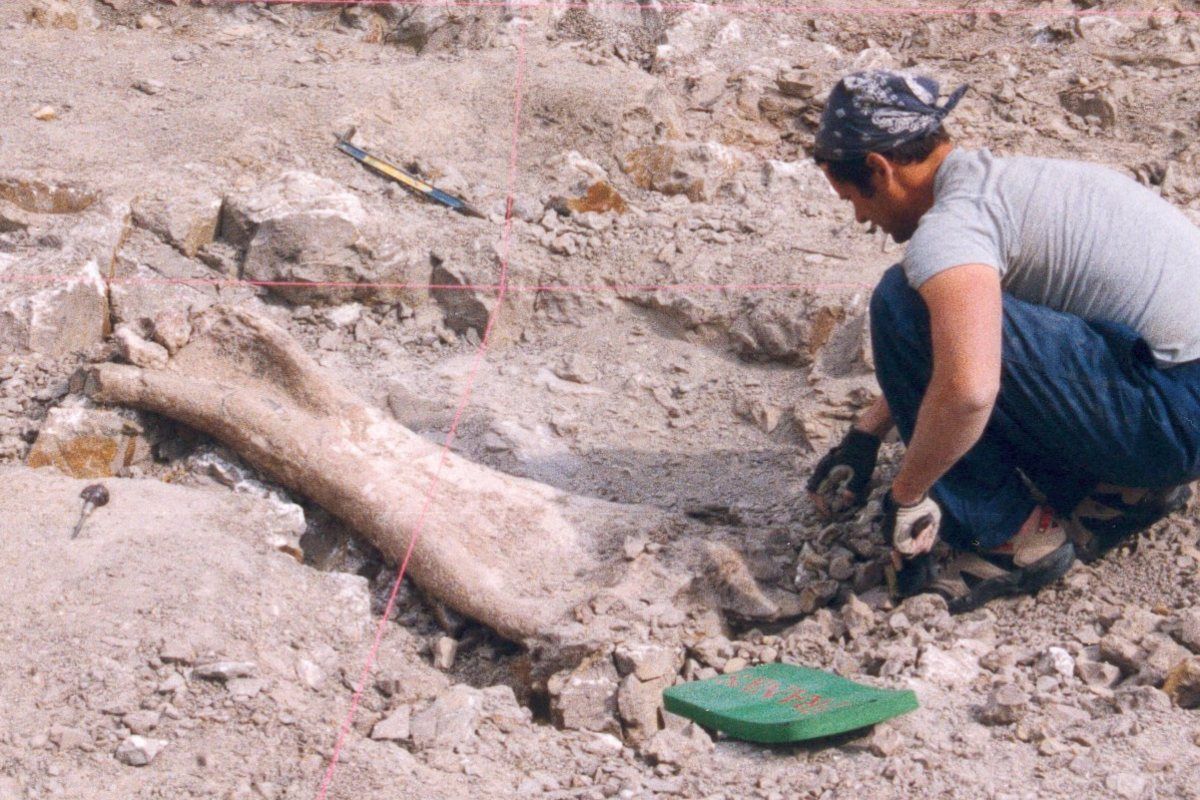 ARCE: Rediscovering Egypt\u2019s Lost Dinosaurs with Dr. Matthew C. Lamanna