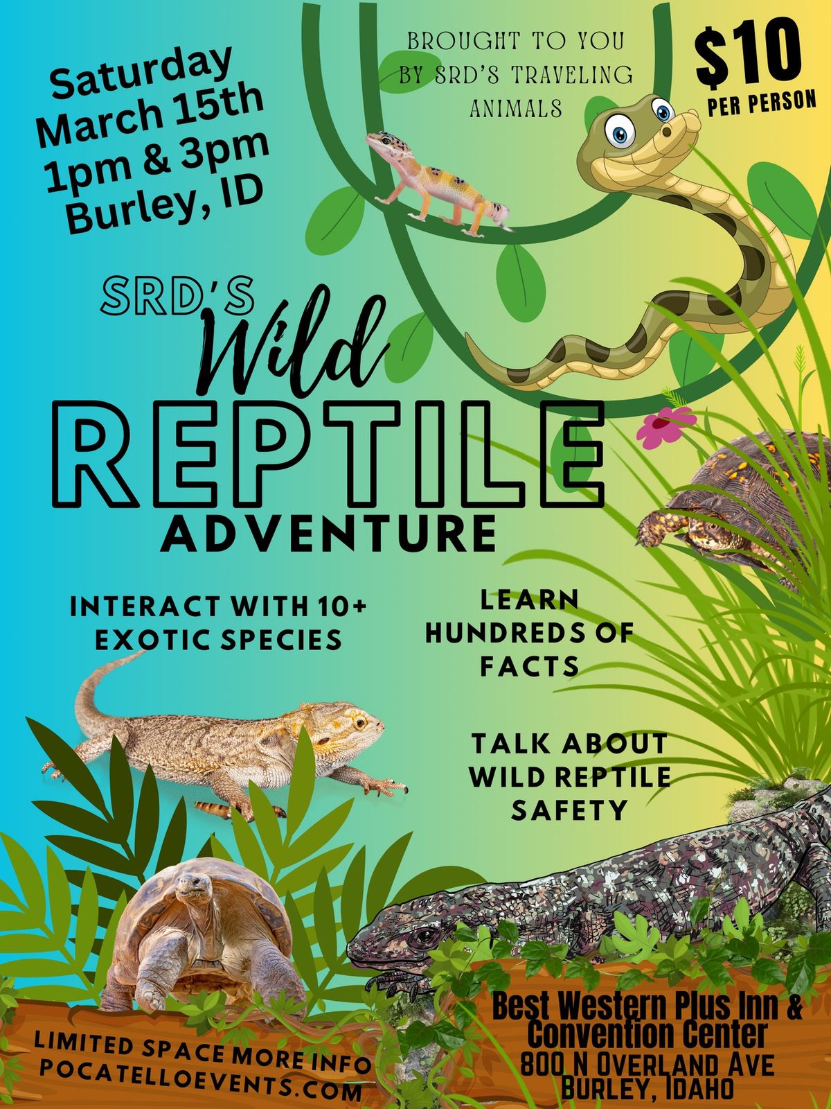 Burley, ID ~ SRD's Wild Reptile Adventure ~ Education & Interaction