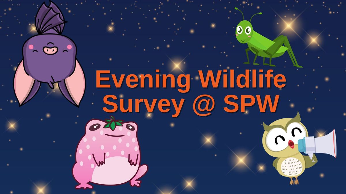 Evening Wildlife\/Bird Survey