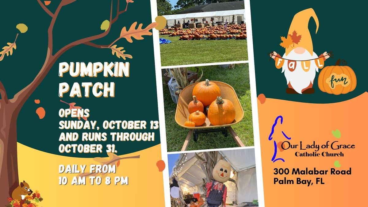 Pumpkin Patch at Our Lady of Grace