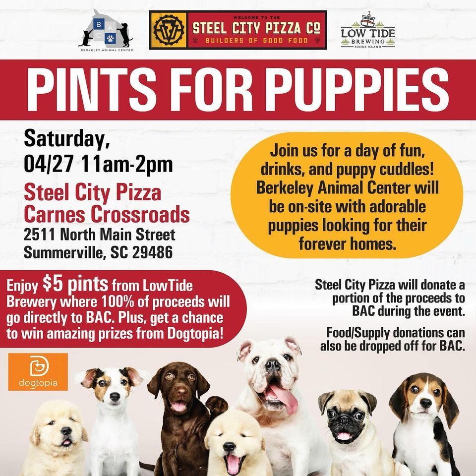 Pints for Puppies - Steel City Pizza Carnes Crossroads