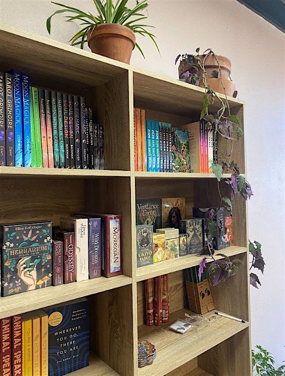 Shelves of Aeaea Grand Opening!