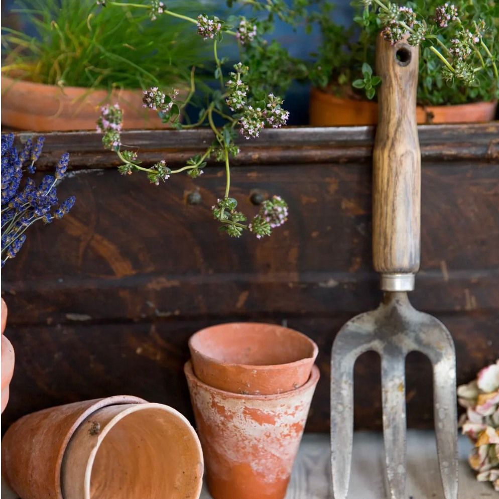 Herb Gardening 101