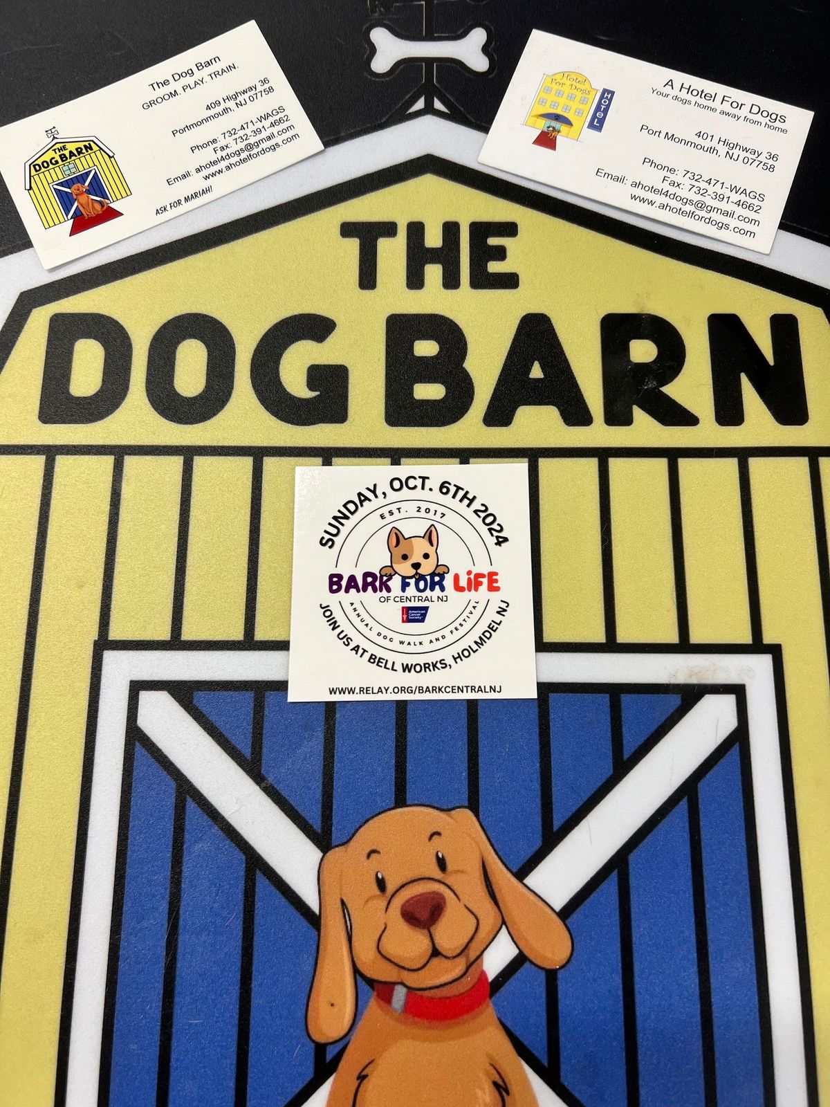 Bark for Life