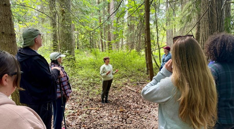 *Saturday* Forest Immersion: A Guided Walk 