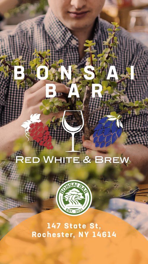 Bonsai Bar