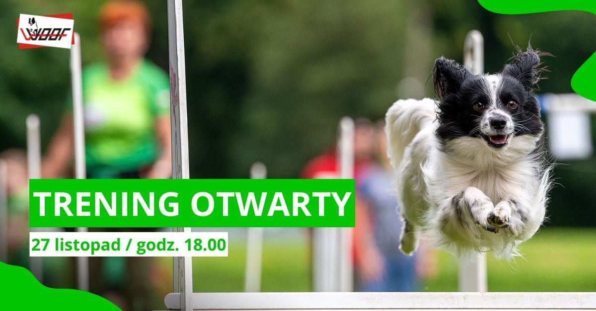 Trening otwarty - Poznaj flyball z klubem WOOF!