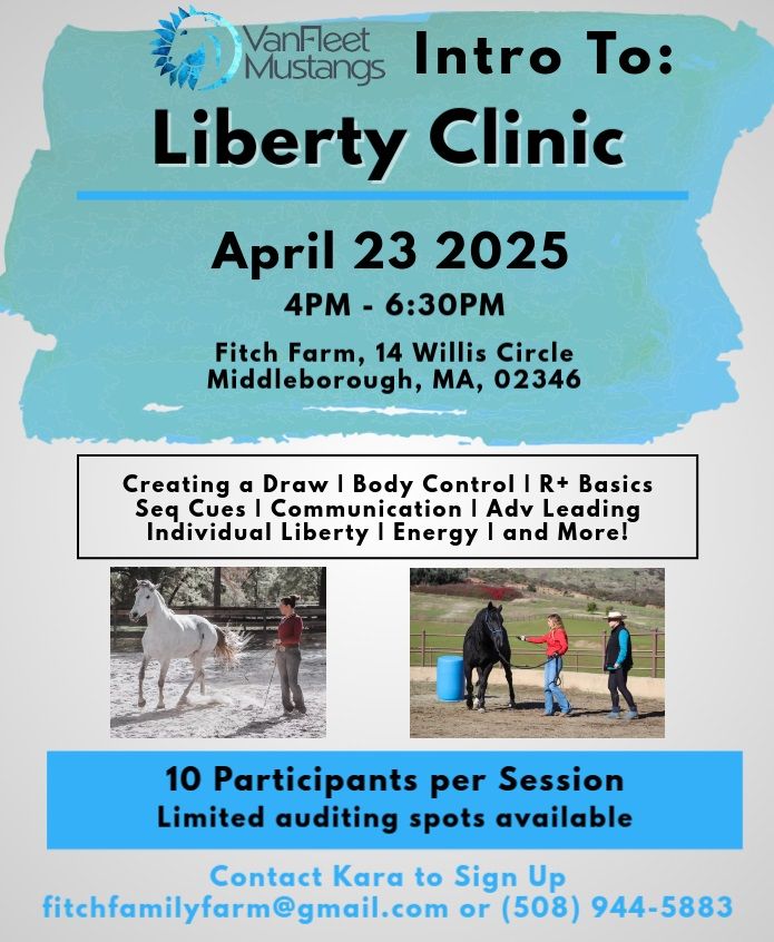 Intro Liberty Clinic - MA