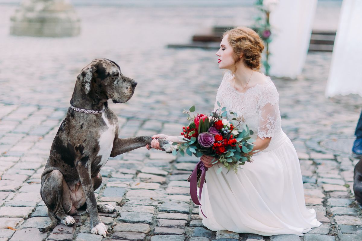 Towcester Racecourse Wedding Fair