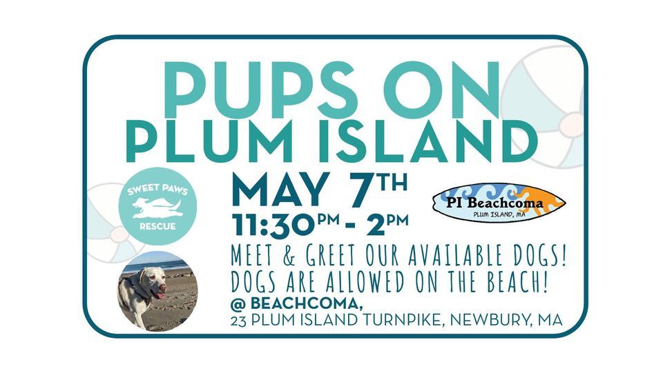 Pups on Plum Island - Meet & Greet