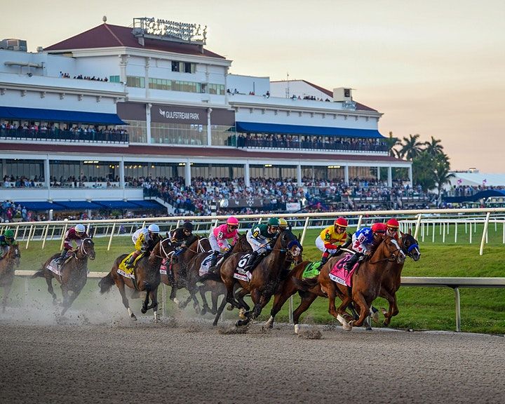 Championship Meet 2021-2022 | Grandstand Boxes, Gulfstream Park Racing ...