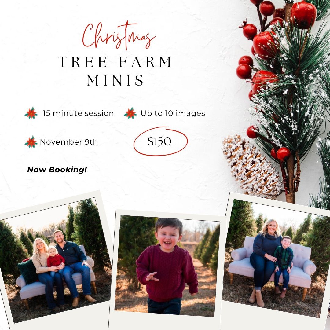 Christmas Tree Farm Minis are LIVE!