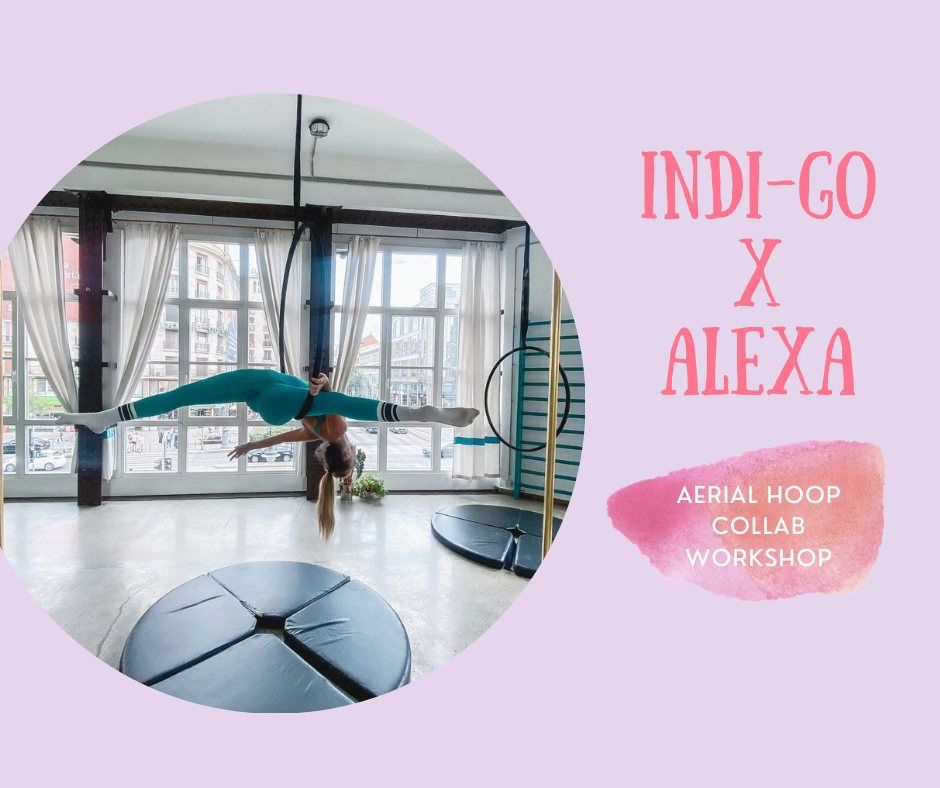 INDI-GO X ALEXA KARIKA WS