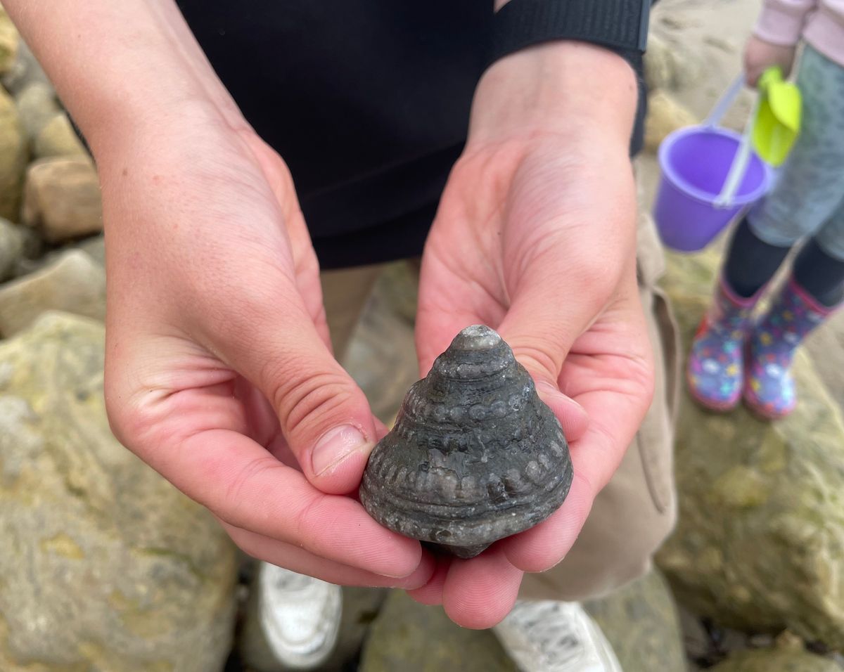 Yorkshire Coast family fossil hunt