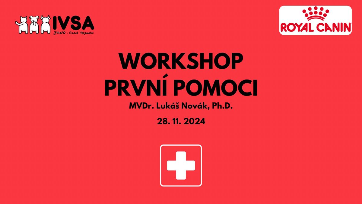 Workshop prvn\u00ed pomoci #2