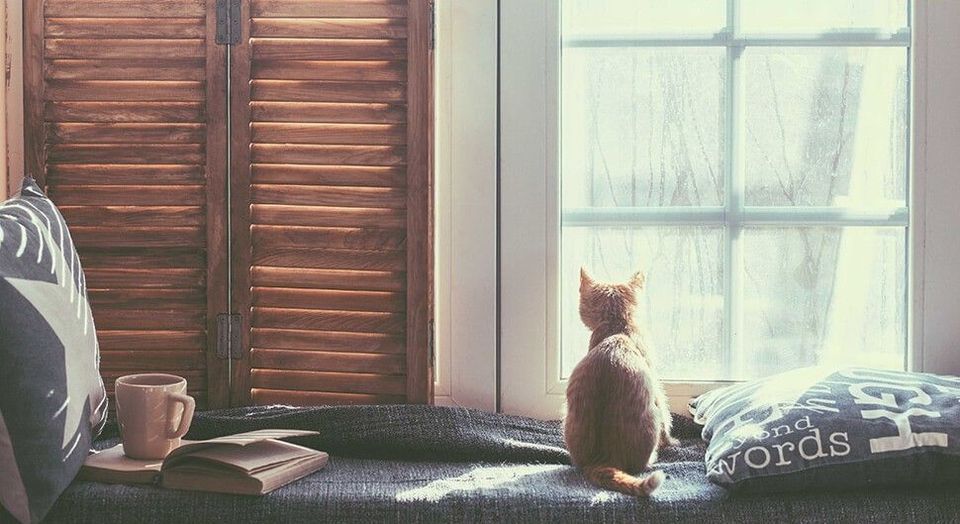 Club de lecture
