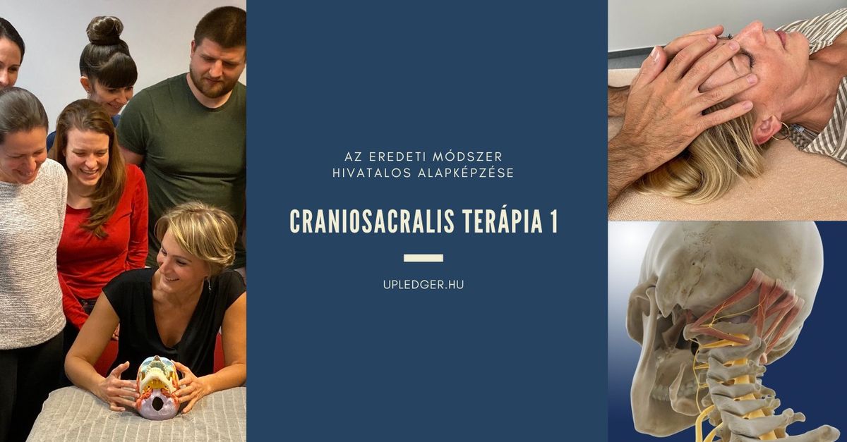 CRANIOSACRALIS TER\u00c1PIA 1 \u2013 Az eredeti craniosacralis ter\u00e1pia alapk\u00e9pz\u00e9se, 1.szint