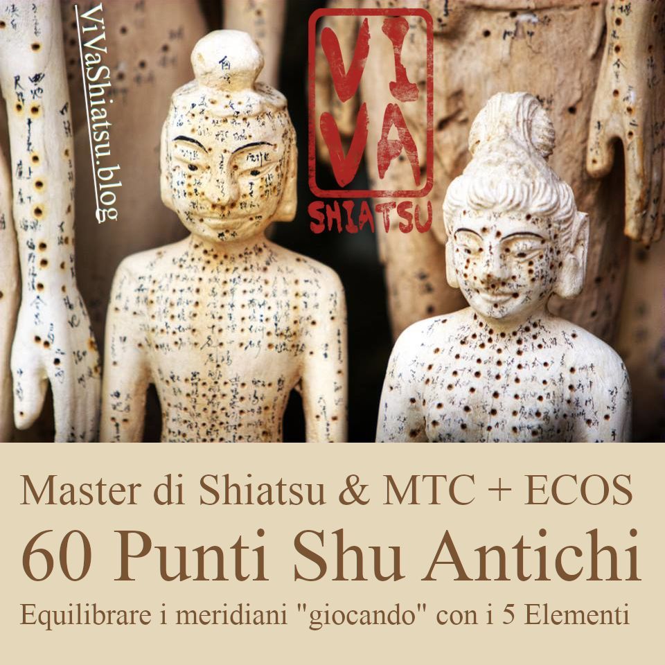 Shiatsu & MTC:  "I 60 PUNTI SHU ANTICHI\u201d