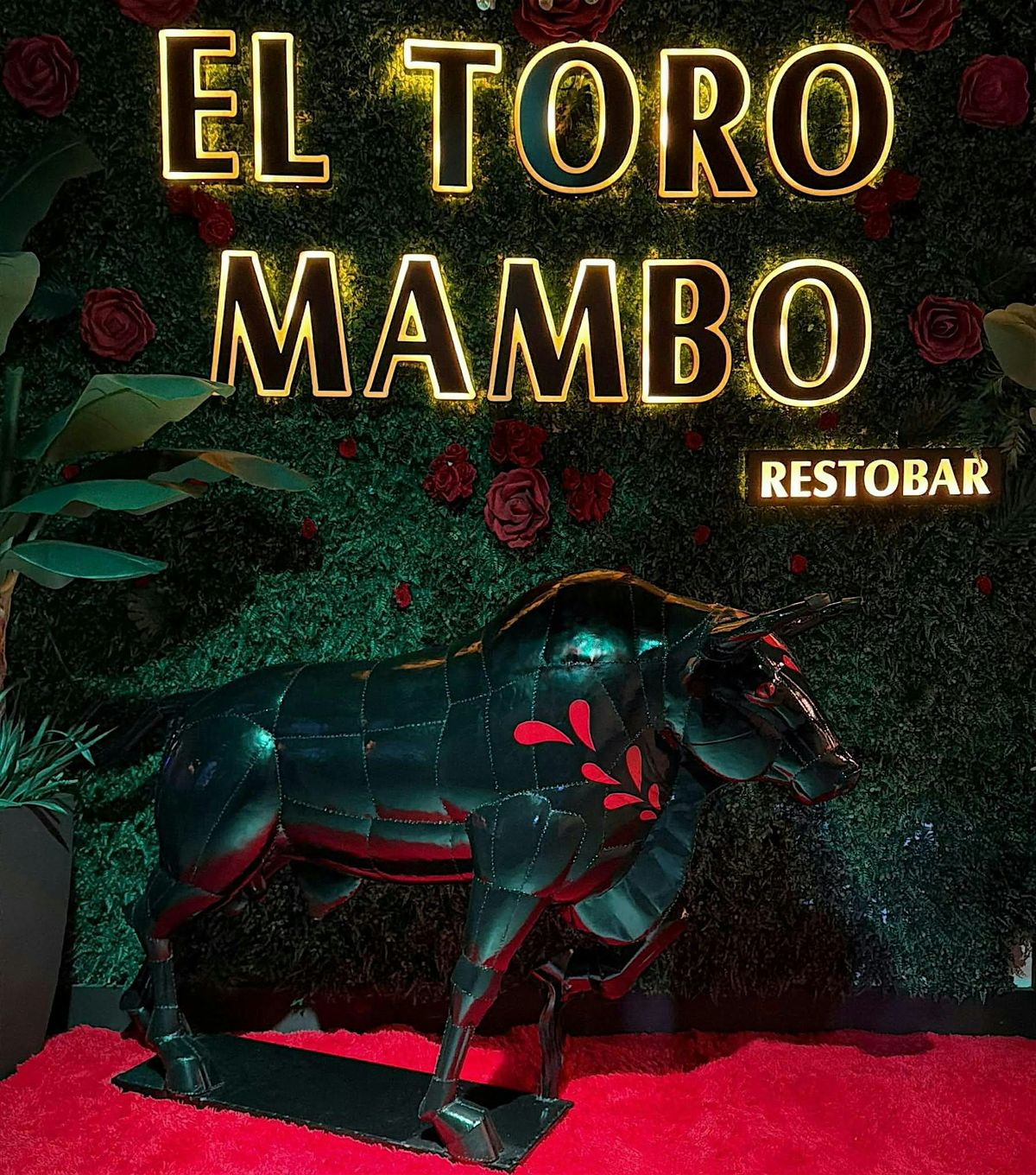 Banda Y Reggeaton