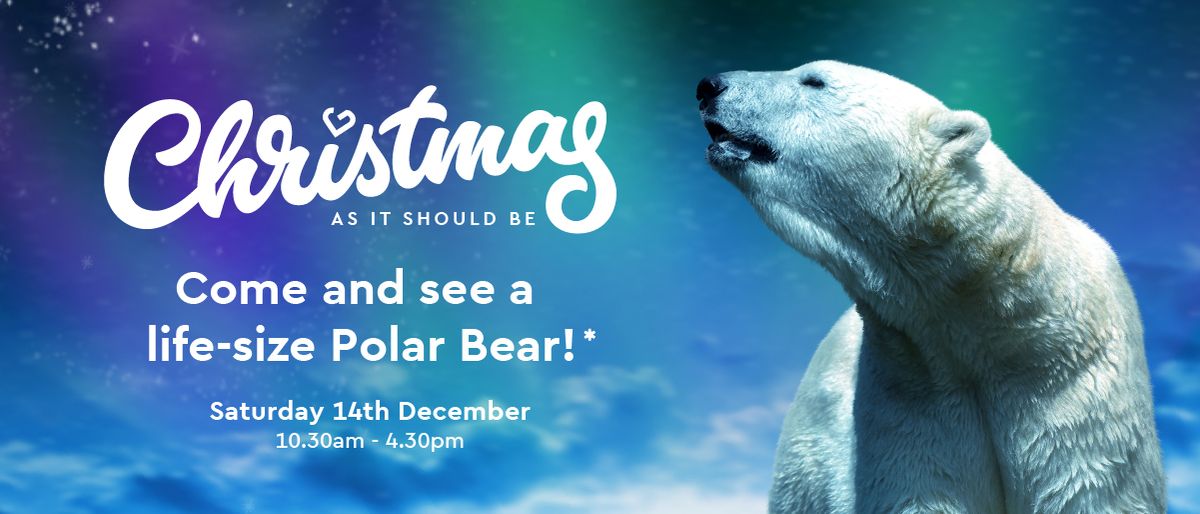 A life-size Polar Bear is coming to George Yard \u2744\ufe0f