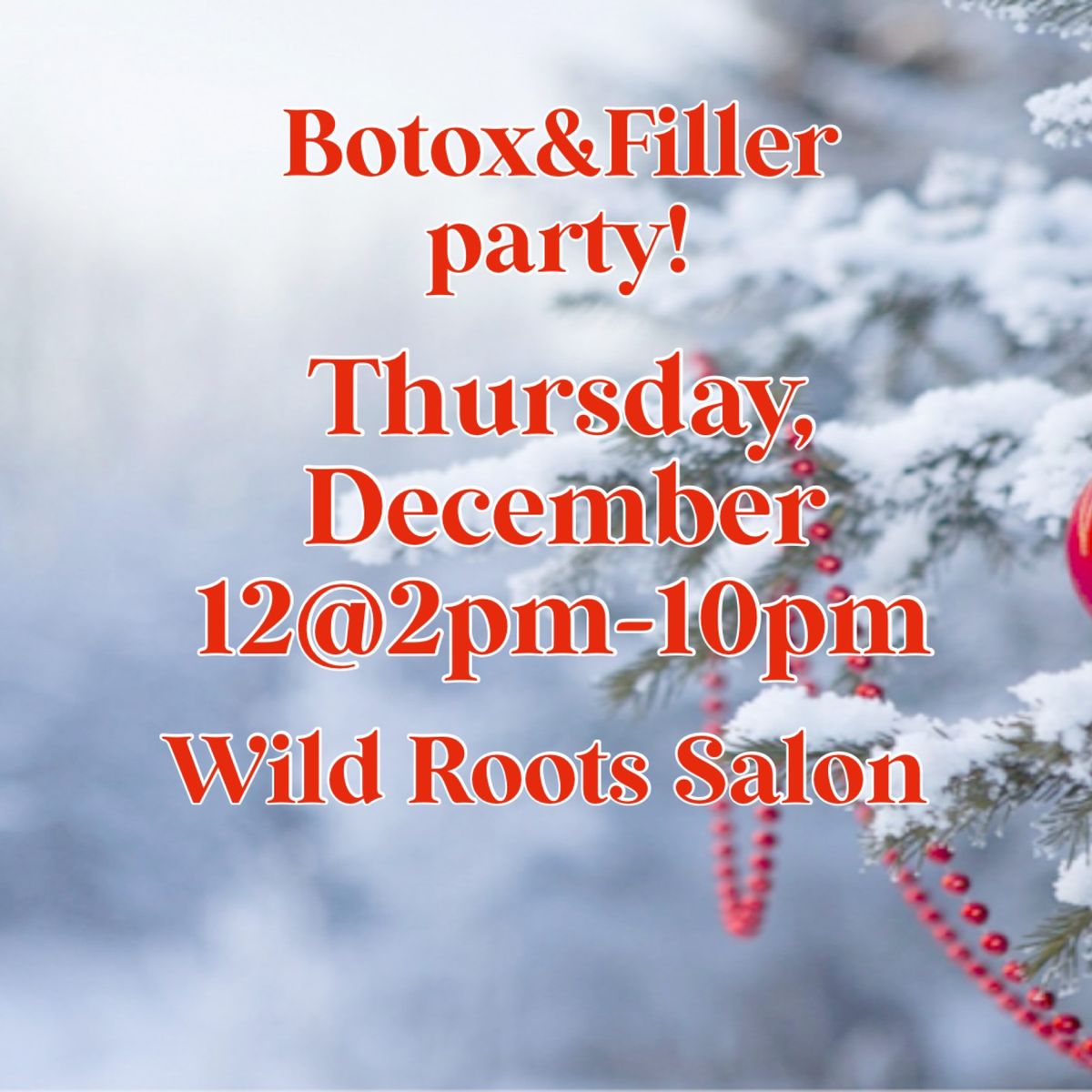 December Botox&Filler party