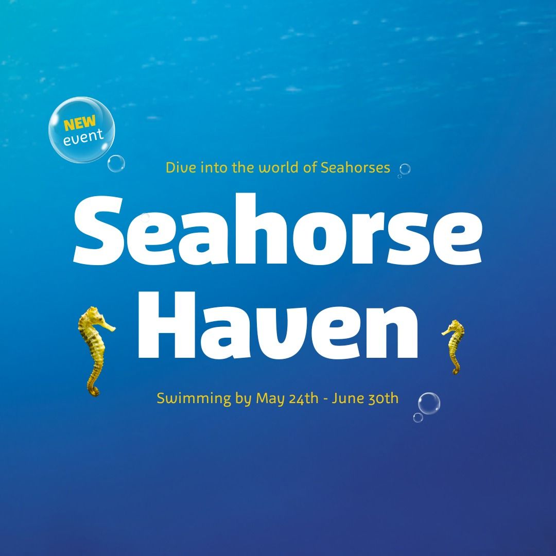 Seahorse Event