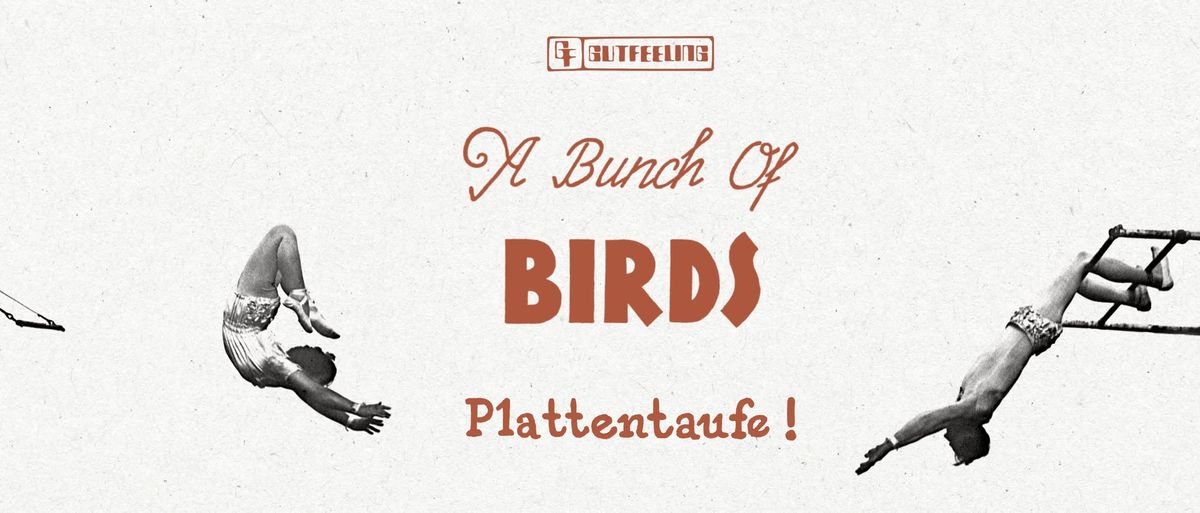 A Bunch Of Birds PLATTENTAUFE !!!