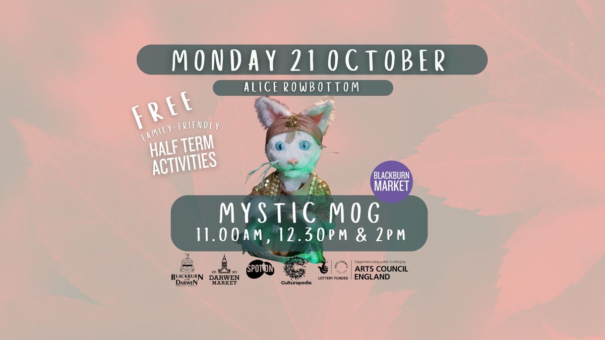 Mystic Mog | Alice Rowbottom