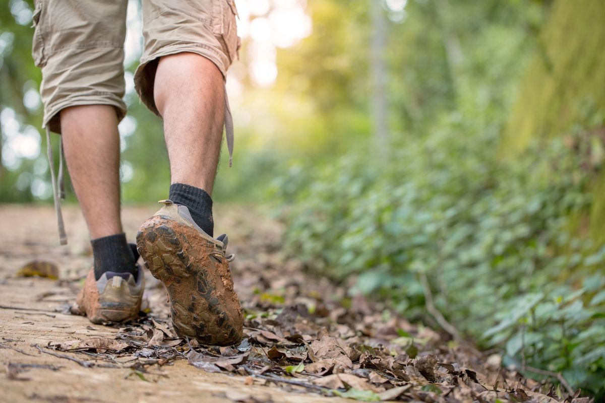 Beginner Hiking Series: Wilkie