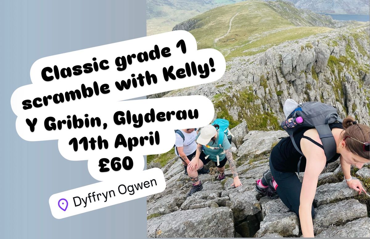 Y Gribin Grade 1 Scramble... beginners welcome!